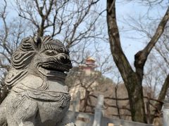 -终南山南五台景区