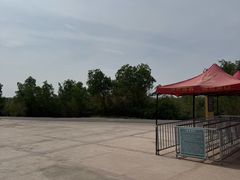 -金塔沙漠胡杨林景区