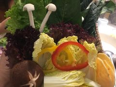 -洪氏嗨捞·猪肚鸡火锅(阳光天地店)