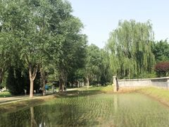 -北坞公园