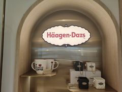 -哈根达斯(武汉天地店)