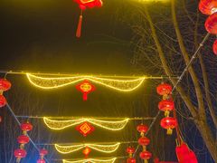 -北戴河集发农业梦想王国