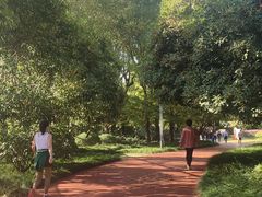 -杭州城北体育公园