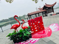 -武汉动物园