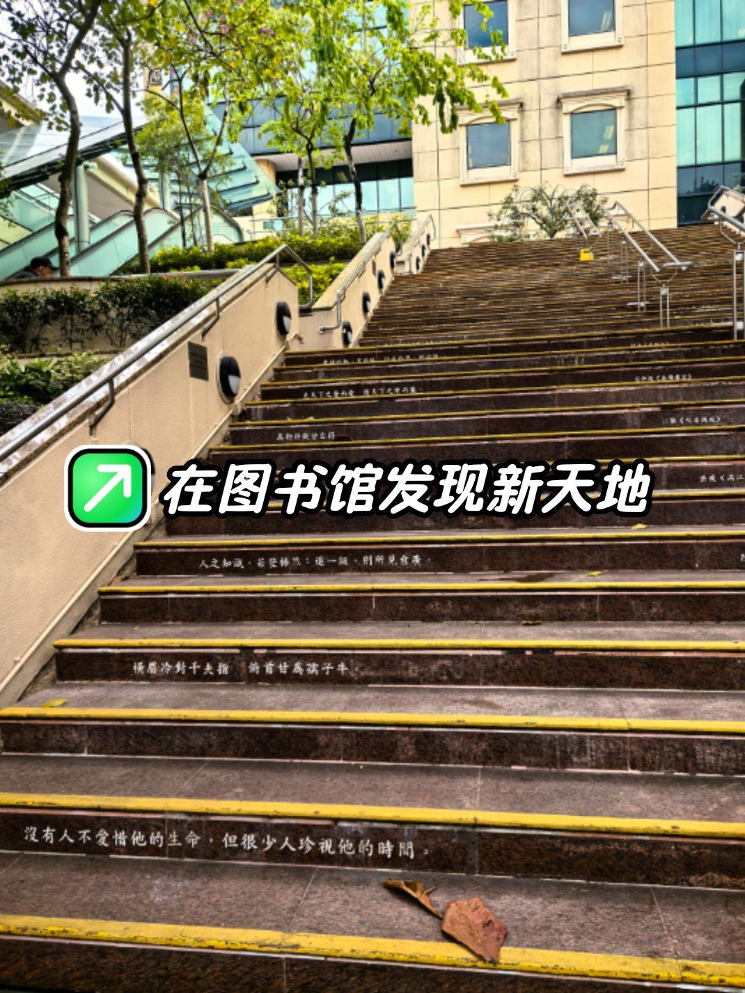 在香港中央图书馆发现新天地