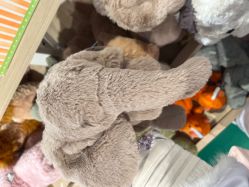 -Hamleys哈姆雷斯(东方福来德店)