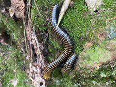 -敬亭山风景名胜区