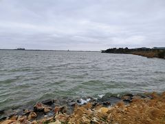 -南汇嘴观海公园