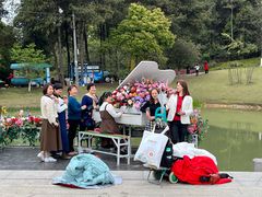 -铁山坪森林公园