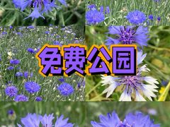 -朝阳公园