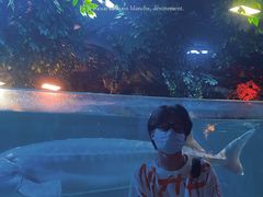 -左海海底世界