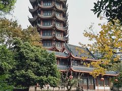 -塔子山公园