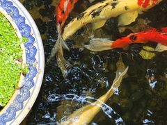 -馨园villa融合菜(东山店)