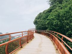 -少华山国家森林公园