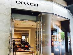 -COACH蔻驰(顺城购物中心店)