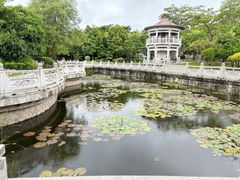 -南普陀寺
