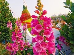 -海心沙亚运公园