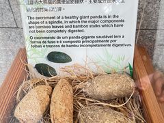 -石排湾郊野公园