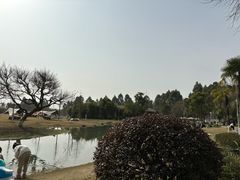 -夏河溪乡野公园