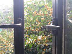 -芳满庭·江浙小馆(1912店)