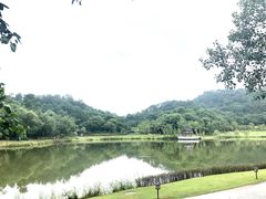 -国恩寺