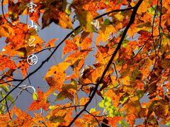 -丹霞山风景名胜区