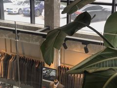 -腾爱熊猫咖啡生活馆(老东门店)