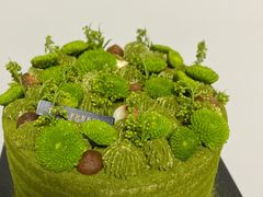 宇治抹茶小雏菊-小苍兰风铃草蛋糕甜品(沈阳店)