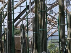 -南山植物园