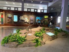 -自贡恐龙博物馆