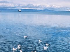 -青海湖国家重点风景名胜区