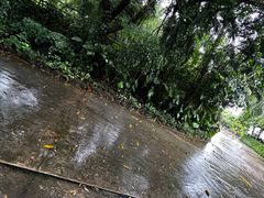 -呀诺达热带雨林