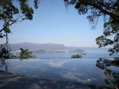 -大埔公路-马料水段香港中文大学(公交站)