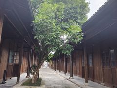 -运河游船(武林门码头)