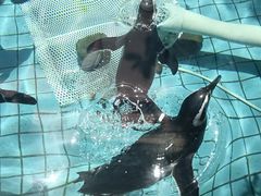 -上海野生动物园