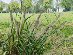 -汉长安城未央宫国家考古遗址公园