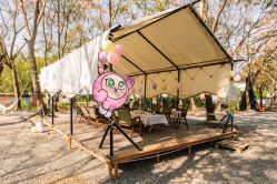 -派对猴生日派对策划