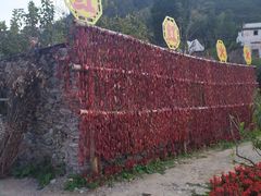 -新安江山水画廊风景区