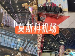 -谢列梅捷沃国际机场