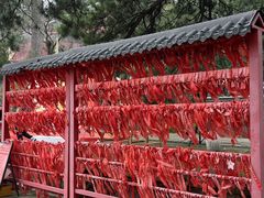 -妙峰山风景名胜区