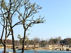 -上海植物园-4号门售票处