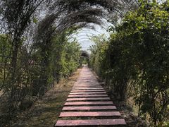 -嘉北郊野公园
