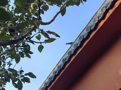 -天津市峰山药王古寺