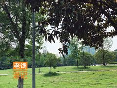 -武汉大学图书馆·文理学部总馆