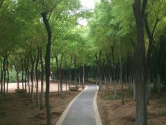 -闫千户小区(一至五区)