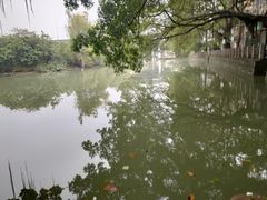 -小洲村