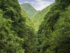 -牛背梁国家森林公园