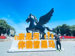 -黑龙江公园