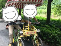 -金岛生态园烧烤露营地