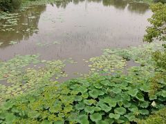 -东湖落雁景区